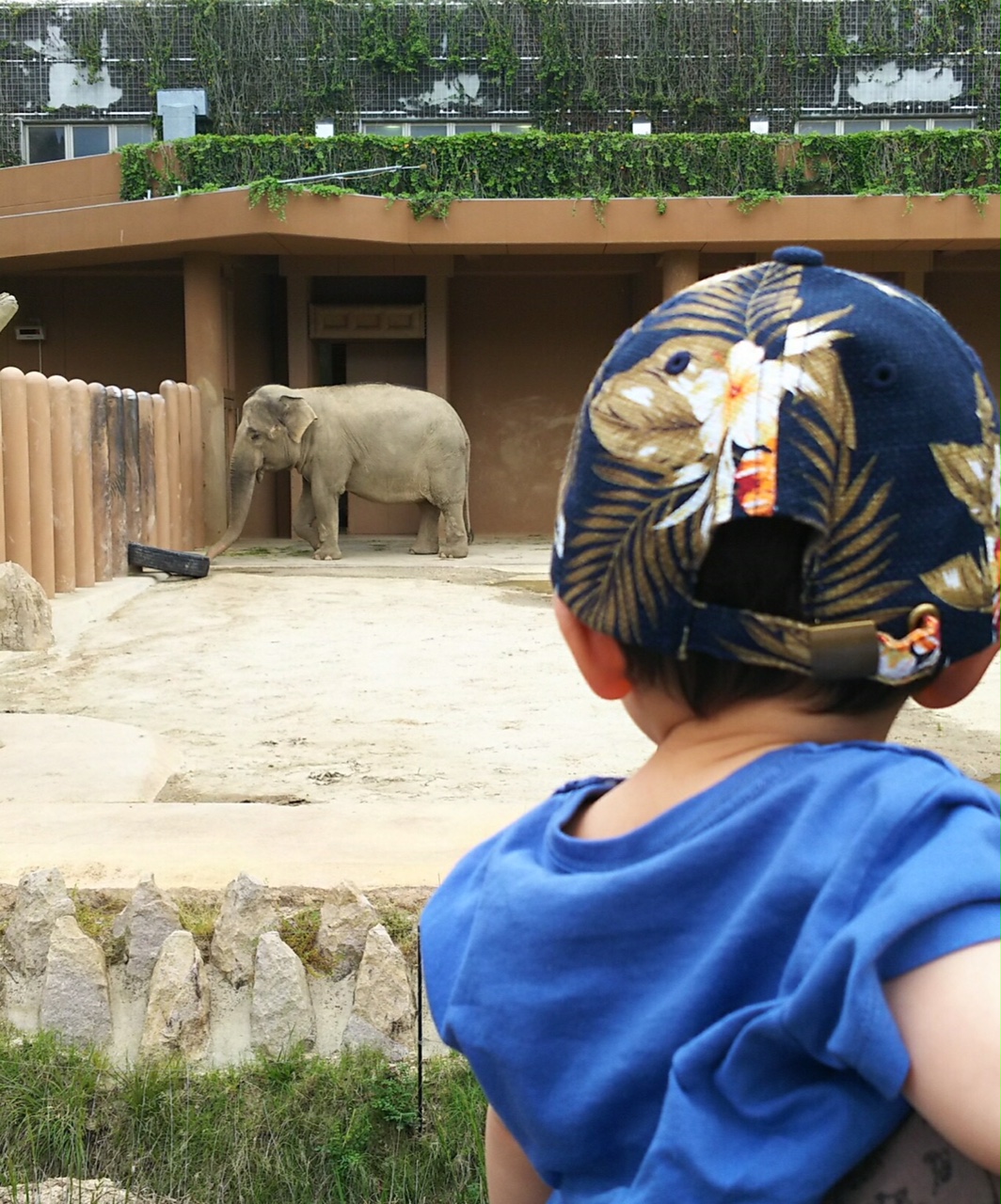 東山動物園～ささしまライブ