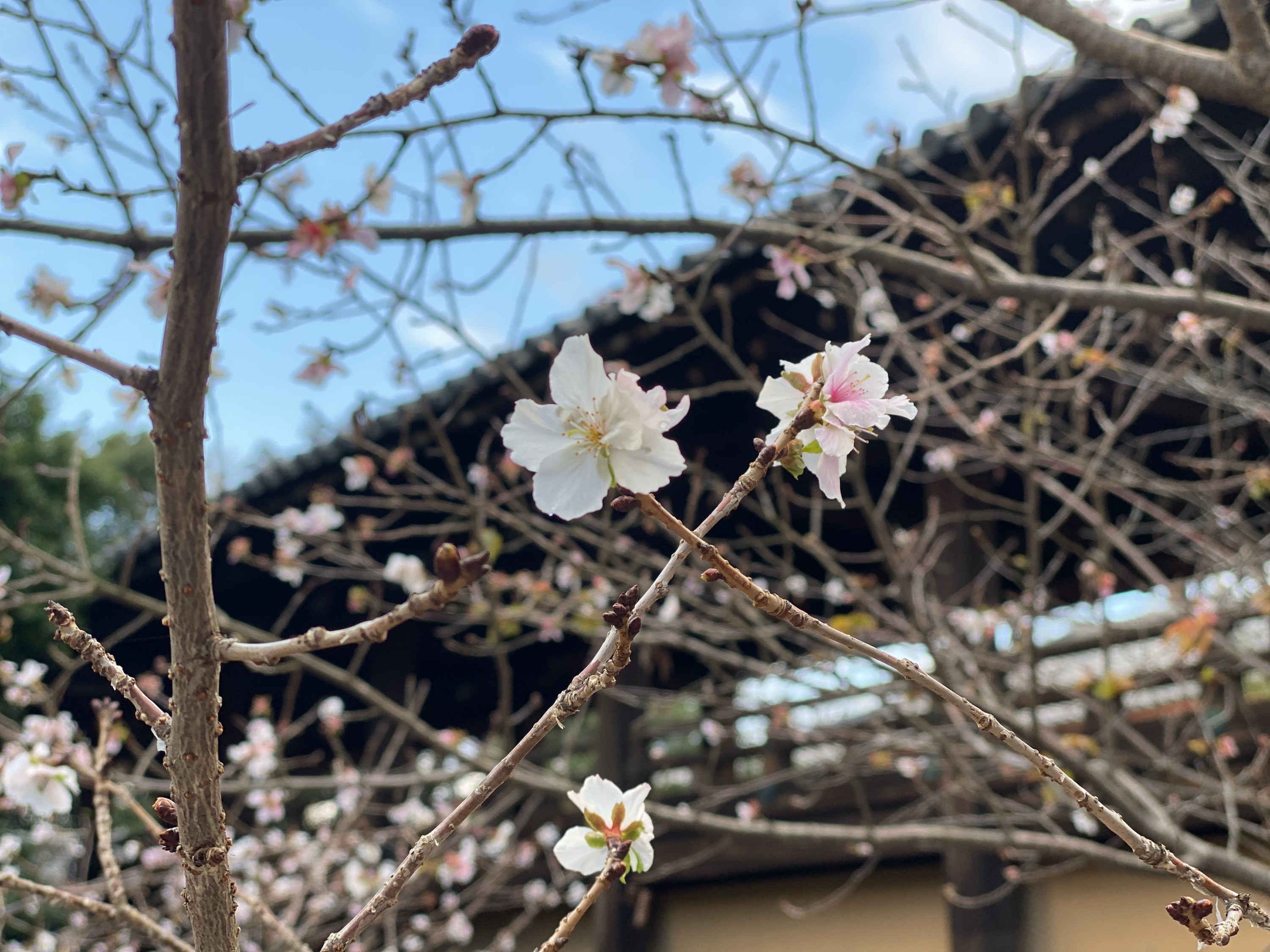 山口サービス日記　あけましておめでとうございます！