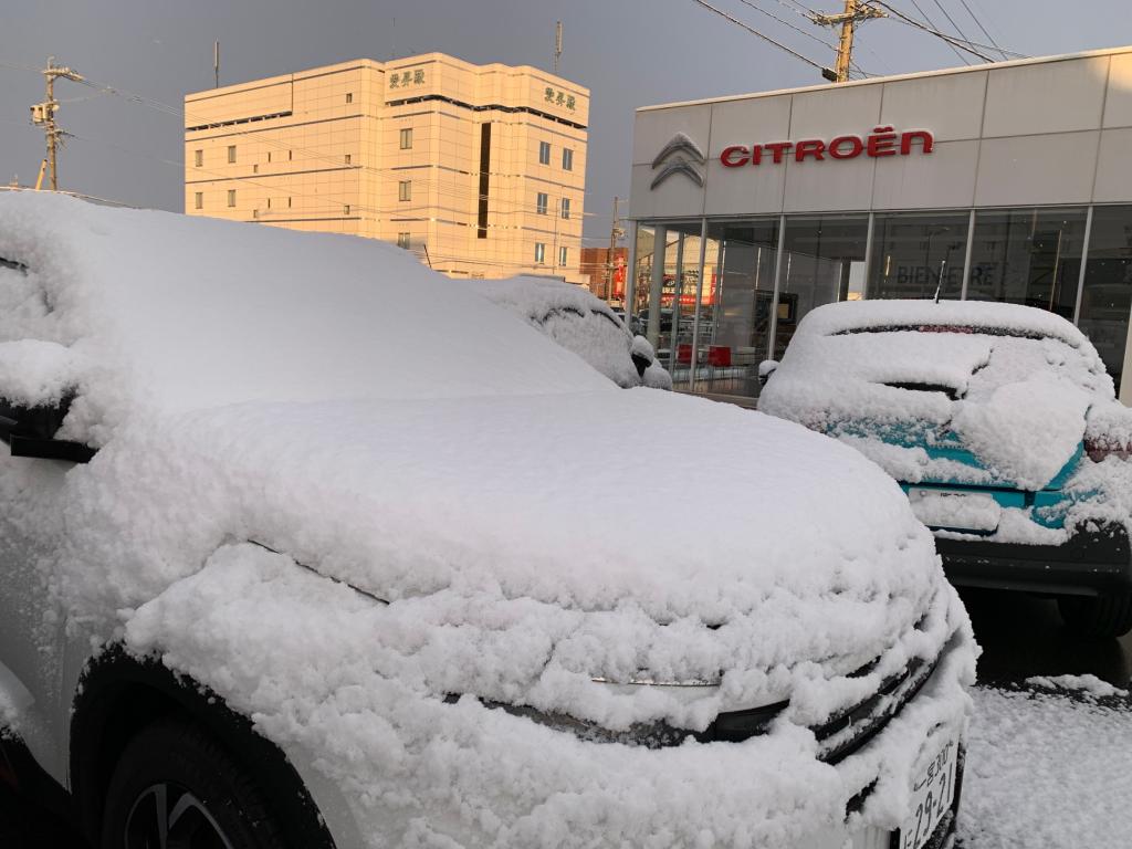 また雪！