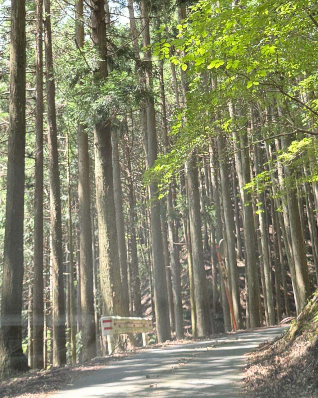 京都へ！