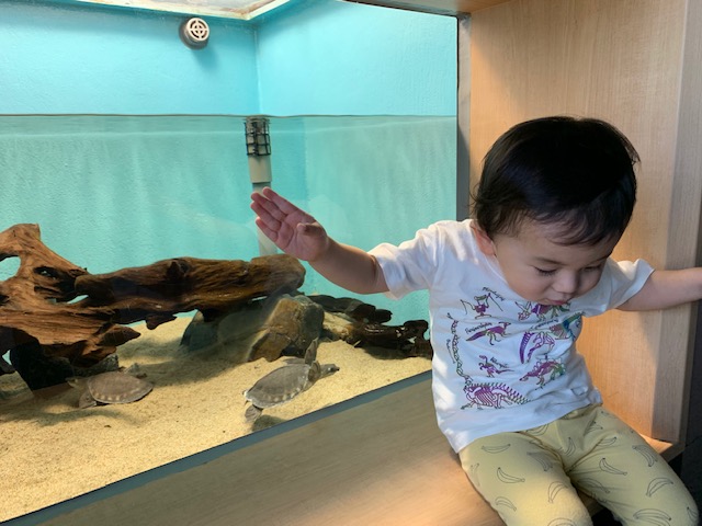 水族館！