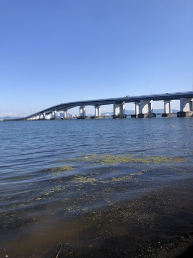 念願の